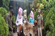 বহুমূল্য চিতাবাঘের চামড়া হচ্ছিল পাচার, উদ্ধার রেড পান্ডার দামী চামড়াও বহুমূল্য চিতাবাঘের চামড়া হচ্ছিল পাচার, উদ্ধার রেড পান্ডার দামী চামড়াও