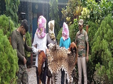Leopard and Red Panda skin recovered by forest department 