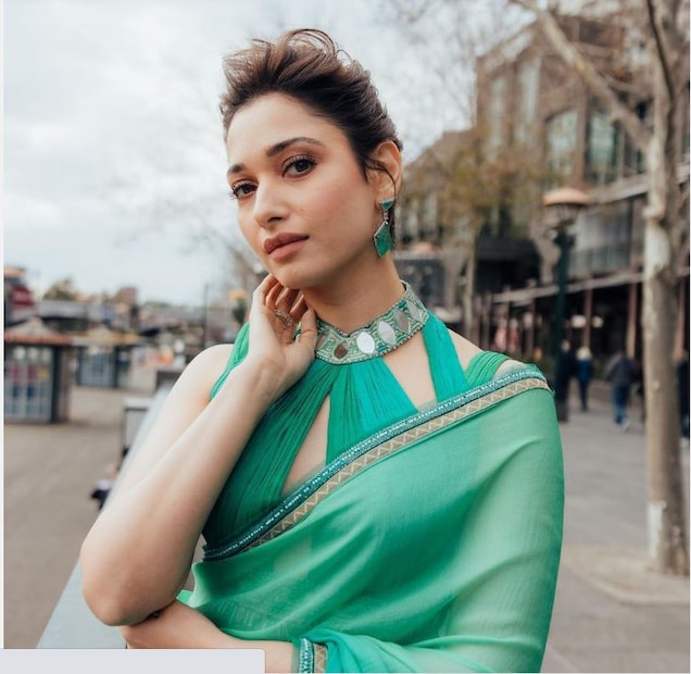 ২০০৬-এ তেলুগু ছবি ‘দেবাদাসু’-র জন্য ফিল্ম ফেয়ার অ্যাওয়ার্ড পান তমান্না