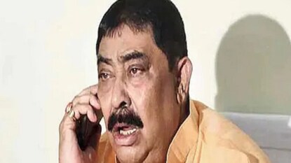 Anubrata Mondal File Image Anubrata Mondal File Image