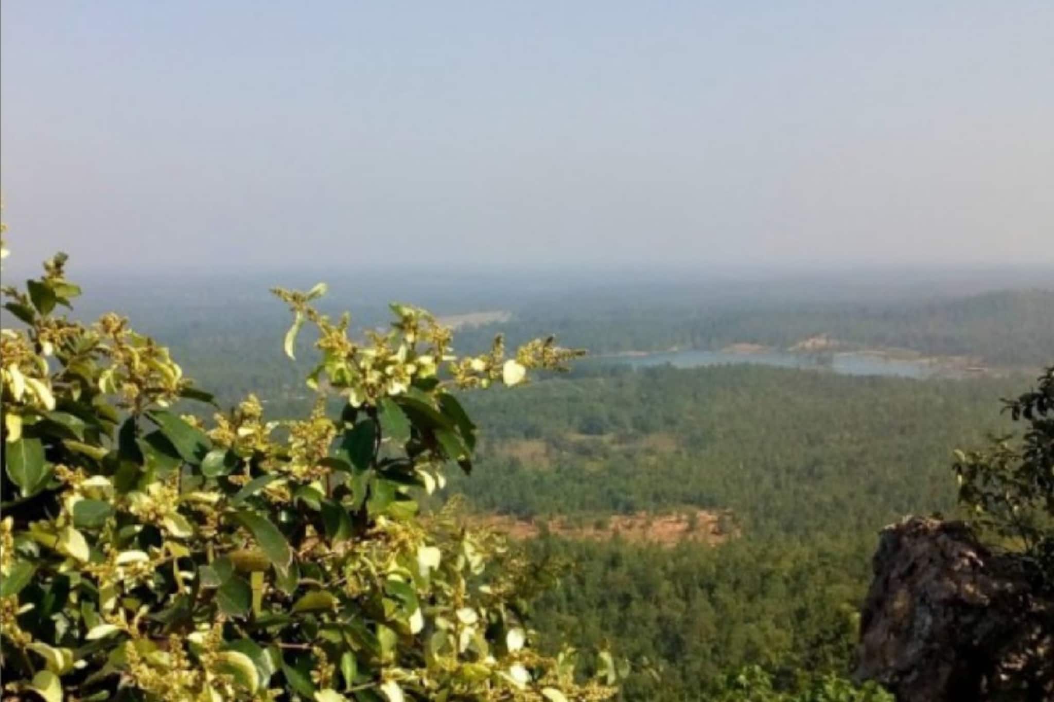 হাতছানি দিচ্ছে জঙ্গল ঘেরা পাহাড়-জঙ্গল-নদী, পুজোর ছুটিতে ঘুরে আসুন গাডরাসিনি