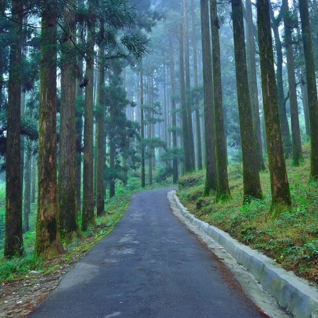 ডাউহিল, কার্শিয়াং, পশ্চিমবঙ্গ: এখানকার দু’টি স্কুল এবং তার চারপাশের এলাকায় প্রচুর অভিশপ্ত আত্মার বাস বলে অনেকে বিশ্বাস করেন। রাত হলেই তারা নাকি বেরিয়ে আসে