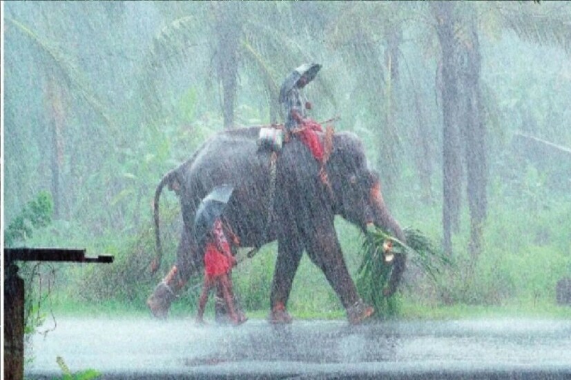 *এই দু-দিন সমুদ্র উত্তাল থাকবে, জলোচ্ছ্বাস হতে পারে। ৫০ কিলোমিটার প্রতি ঘন্টায় দমকা ঝোড়ো হাওয়া বইতে পারে। নিম্নচাপ তৈরি হওয়ার কারণে সমুদ্র উপকূলেও ৪০-৫০ কিলোমিটার গতিবেগে দমকা ঝোড়ো হাওয়া ও সমুদ্রের ঢেউ বাড়তে পারে। প্রতীকী ছবি।