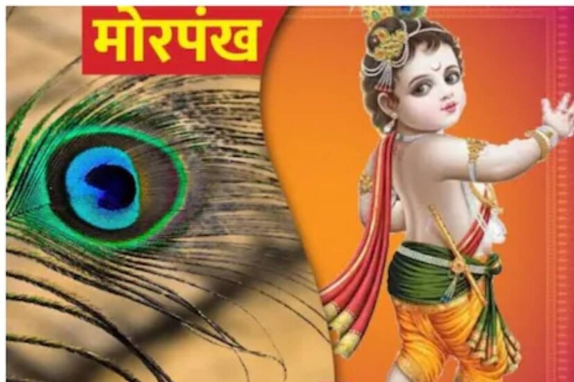 যে কোনও উৎসব ও পার্বণের অন্যতম অংশ ভোগপ্রসাদ ৷ আগামিকাল জন্মাষ্টমী ৷ জেনে নিন আপনার রাশি অনুযায়ী কোন কোন প্রসাদ শ্রীকৃষ্ণকে দেবেন ৷ ভাদ্রমাসের কৃষ্ণপক্ষের অষ্টমী তিথি এ বছর থাকবে বৃহস্পতিবার রাত ৯টা ২১ মিনিট থেকে শুরু করে শুক্রবার রাত ১০ টা ৫৯ মিনিট পর্যন্ত ৷ 