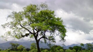 রাজনৈতিক মহলের মতে, খারাপ ফলের কারণ দুর্বল সংগঠন