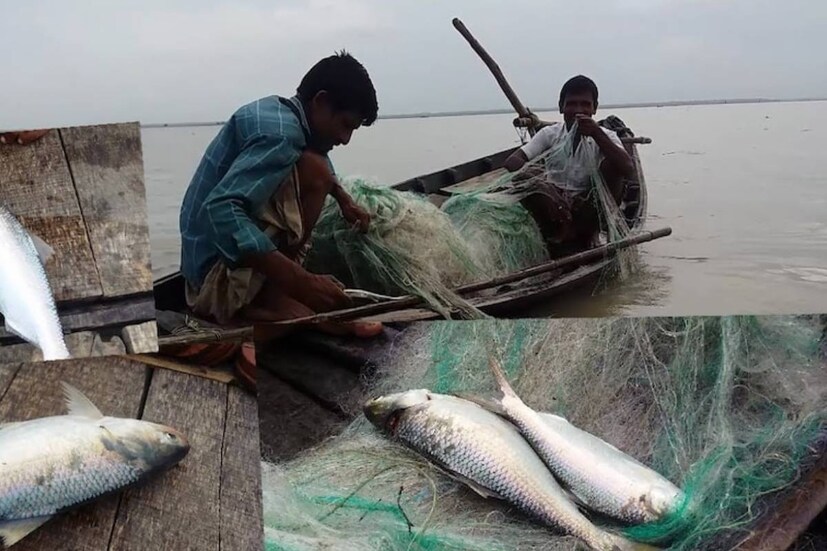 আর সেই কারণে আরও ভাল ইলিশ মাছ হয় সেই জন্যে গঙ্গাপুজো আরাধনা শুরু করল কাকদ্বীপের মৎস্যজীবীরা ৷ 
