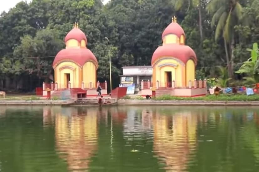এর পর, রয়েছে টাকি জোড়া মন্দির। টাকি জমিদার বাড়ির গুপীনাথ রায় চৌধুরী একটি পুকুর কেটে তার পাড়ে দুটি শিব মন্দির স্থাপন করেছিলেন। এ ছাড়াও রয়েছে মিনি সুন্দরবন। টাকি পৌরসভার উদ্যোগে এই মিনি সুন্দরবন, সুন্দরবনের একটি মডেল হিসেবে ব্যবহার করা হয়।
