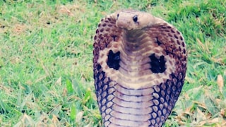 প্রতীকী ছবি