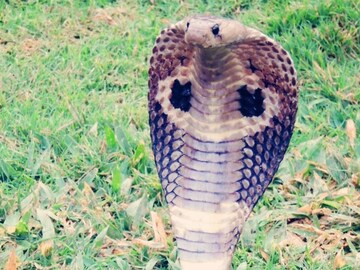 প্রতীকী ছবি