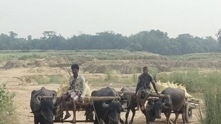 খণ্ডঘোষ মাধবডিহিতে পুলিশের অভিযান চলে 