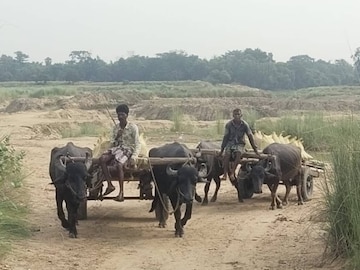 খণ্ডঘোষ মাধবডিহিতে পুলিশের অভিযান চলে 