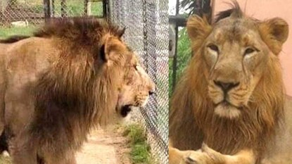 প্রতীকী ছবি প্রতীকী ছবি