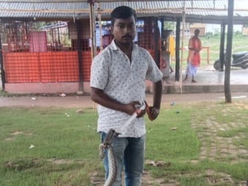 Snakes in Monsoon