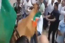 দেখুন ভিডিও:তিরঙ্গা মিছিলে গরুর গুঁতো, গুজরাতের প্রাক্তন মন্ত্রীর গায়ে গরুর ঝাঁপ