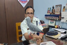 বালি থেকে বর্ধমানে, উড়ে যাওয়া এক লাখি টিয়াকে খুঁজে আনল হাওড়া পুলিশ বালি থেকে বর্ধমানে, উড়ে যাওয়া এক লাখি টিয়াকে খুঁজে আনল হাওড়া পুলিশ