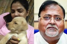 পার্থ-অর্পিতাকে মুখোমুখি জেরা, মুখে কুলুপ আঁটলেন পার্থ? যা বললেন অর্পিতা পার্থ-অর্পিতাকে মুখোমুখি জেরা, মুখে কুলুপ আঁটলেন পার্থ? যা বললেন অর্পিতা