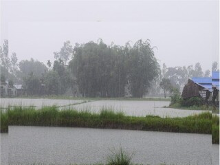 Paschim Medinipur News: Heavy rainfall started- Photo- Representative 