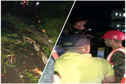 গাছ চাপা পড়ে মর্মান্তিক মৃত্যু