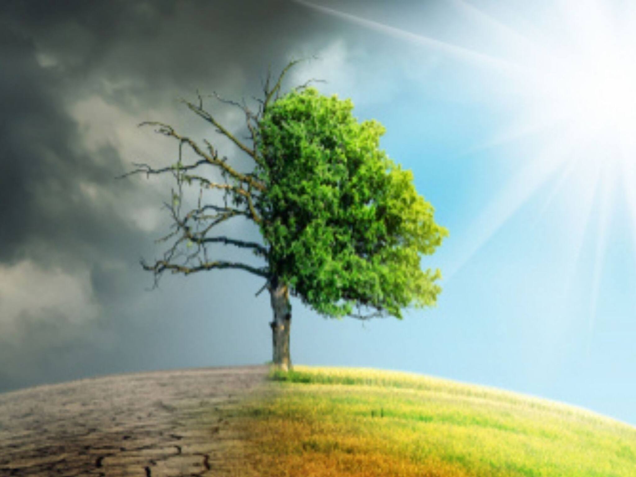 Global Temperatures: ভেঙে চুরমার ৭০ বছরের ইতিহাস, হুহু করে বাড়ছে পৃথিবীর তাপমাত্রা, চরম সতর্ক করল চিন