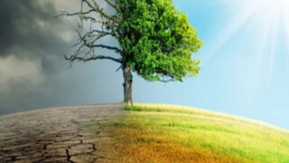 প্রতীকী ছবি