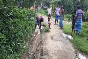 পূর্ব বর্ধমানের মেমারি গ্রামে রাস্তায় ধান রুইলেন বাসিন্দারা! ঘটনায় তাজ্জব সকলে