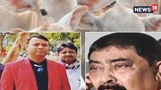 গরুপাচারে আব্দুল লতিফ 