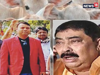 গরুপাচারে আব্দুল লতিফ 