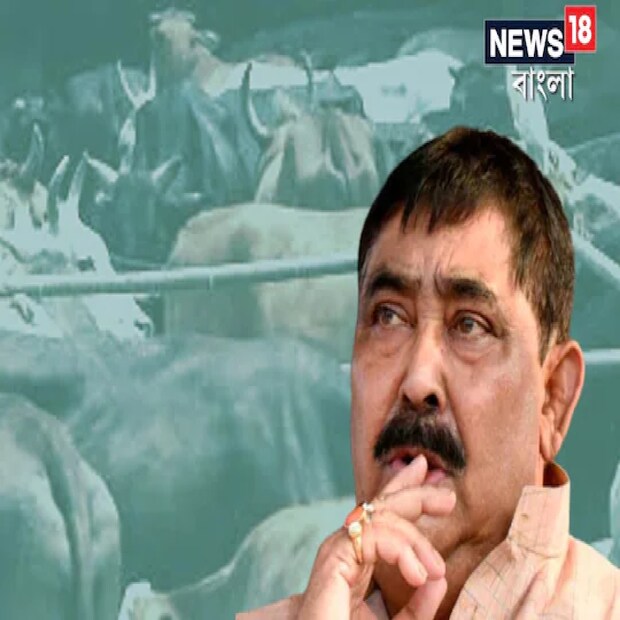 গরু পিছু বিএসএফ কর্তা পেতেন ২০০০ টাকা, কাস্টমস বিভাগের কর্তাদের দিতে হত পাঁচশো টাকা৷ গরু পাচার কাণ্ডের তদন্তে নেমে এমনই চাঞ্চল্যকর তথ্য এসেছে সিবিআই কর্তাদের হাতে৷ আর এই সমস্ত তথ্য প্রমাণ সামনে রেখেই জেরা করা হচ্ছে অনুব্রত মণ্ডলকে৷ তথ্য- অমিত সরকার