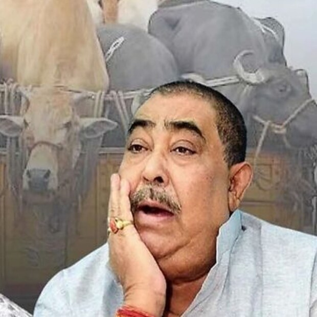 পাশাপাশি অনুব্রতর বোন শিবানী ঘোষের নামেও ১২টি সম্পত্তি নথিভুক্ত রয়েছে৷ তাঁর স্বামী কমলকান্তি ঘোষের নামে রয়েছে ৫টি সম্পত্তি৷ শিবানী এবং কমলকান্তির ছেলে সম্পর্কে অনুব্রতর ভাগ্নে রাজা ঘোষ এবং তাঁর স্ত্রী পারমিতার নামেও ১৩টি সম্পত্তির হদিশ মিলেছে৷ 