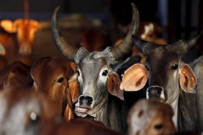 প্রতীকী ছবি৷ 