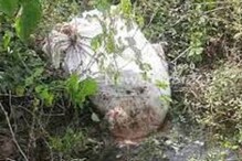 বাঁকুড়ার জঙ্গলে কার্টুন-বন্দি দেহ, সূত্র মিলল আসানসোলে! ঠিক যেন ক্রাইম থ্রিলার বাঁকুড়ার জঙ্গলে কার্টুন-বন্দি দেহ, সূত্র মিলল আসানসোলে! ঠিক যেন ক্রাইম থ্রিলার