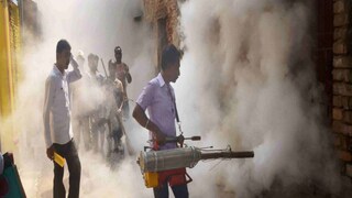 রাজ্যে বাড়ছে ডেঙ্গি