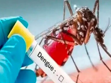 ডেঙ্গি নিয়ে উদ্বিগ্ন নবান্ন