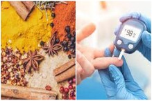 চড়তে থাকা Blood Sugar আসবে হাতের মুঠোয়, জাস্ট দুধে মিশিয়ে খান এই ৩ মশলা! চড়তে থাকা Blood Sugar আসবে হাতের মুঠোয়, জাস্ট দুধে মিশিয়ে খান এই ৩ মশলা!