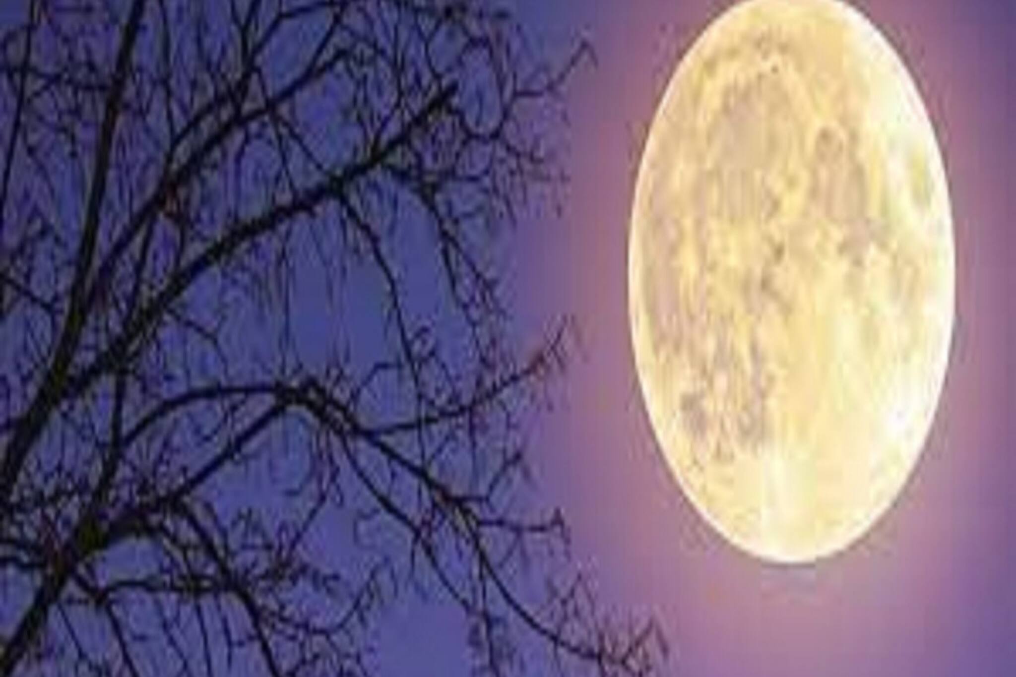 বিরাট চাপ! গণেশ চতুর্থীর দিন ভুল করেও চাঁদ দেখলে চরম মূল্য চোকাতে হবে