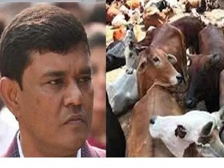 গরুপাচারের কিংপিং এনামুলের বিশেষ নজর থাকত 'বোল্ডারের' দিকে