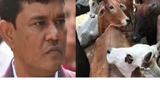 গরুপাচারের কিংপিং এনামুলের বিশেষ নজর থাকত 'বোল্ডারের' দিকে গরুপাচারের কিংপিং এনামুলের বিশেষ নজর থাকত 'বোল্ডারের' দিকে