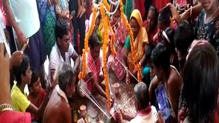 মহা ধুমধামের সঙ্গে হল ব্যাঙের বিয়ে