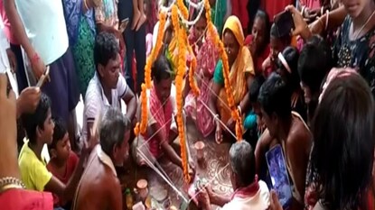 মহা ধুমধামের সঙ্গে হল ব্যাঙের বিয়ে মহা ধুমধামের সঙ্গে হল ব্যাঙের বিয়ে