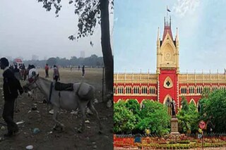 ঘোড়ায় নজর হাই কোর্টের