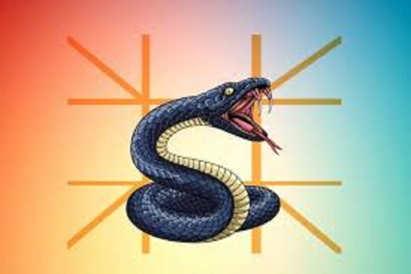 এছাড়াও অমৃতা প্রীতম, মধুবালা, লতা মঙ্গেশকর, সত্যজিৎ রায়, হৃষিকেশ মুখোপাধ্যায়, গোবিন্দ, সচিন তেন্ডুলকরের মত ব্যক্তিত্ব এই সংযোগ নিয়েই নিজ নিজ স্থানে শ্রেষ্ঠত্ব প্রতিষ্ঠিত করেছেন ৷ প্রতীকী ছবি ৷