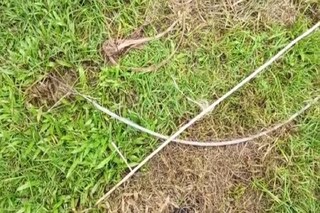 মর্মান্তিক ঘটনা মর্মান্তিক ঘটনা