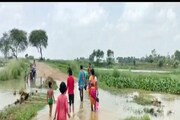 সেতু ভেঙে জলবন্দি আউশগ্রামের বিস্তীর্ণ এলাকা, দুর্ভোগে বাসিন্দারা
