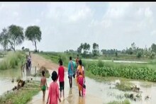সেতু ভেঙে জলবন্দি আউশগ্রামের বিস্তীর্ণ এলাকা, দুর্ভোগে বাসিন্দারা