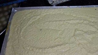 কুইন্টাল কুইন্টাল ছানা প্রতিদিন নিলামে ওঠে আড়তে! 