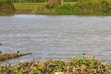 ফের গঙ্গার জলে কুমির! আতঙ্কিত এলাকার বাসিন্দারা ফের গঙ্গার জলে কুমির! আতঙ্কিত এলাকার বাসিন্দারা