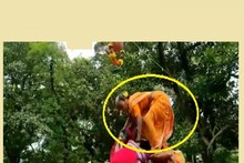 শাড়ি পরে অন্য মহিলাদের কাঁধে উঠলেন বৃদ্ধা,এক ধাক্কায় মাথা দিয়ে ফাটালেন হাঁড়ি