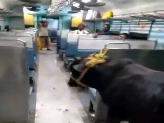 ভাইরাল ভিডিও দেখে চক্ষু চড়কগাছ