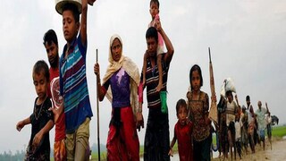 অতীতে অবৈধ শরণার্থীদের ‘উইপোকা’ বলে অভিহিত করেছিলেন অমিত শাহ