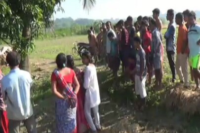 ফাইল ছবি